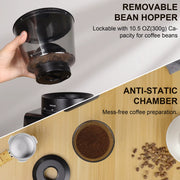 BioloMix Automatic Burr Mill Coffee Grinder with 30 Gears, Visual Bean, 220V -UK