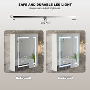 Bathroom Mirror Cabinet LED Wall Mounted 650x600mm with Demister Shaver Storage
