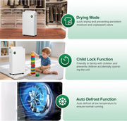 Philodeco 20L/Day Dehumidifier 5.5L Tank Timer Display Hose Laundry Condensation