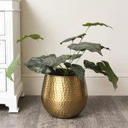 Medium round gold hammered metal planter plant pot decorative botanical vase