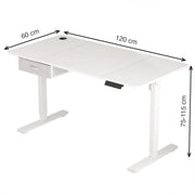 Height Adjustable Electric Standing Desk with Desk Drawer
