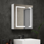 Bathroom Mirror Cabinet LED Wall Mounted 650x600mm with Demister Shaver Storage