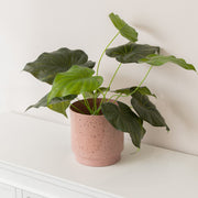 Large Pink Speckled Iron Planter Pot - 20cm x 20cm