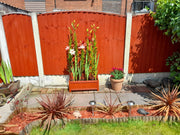 Outdoor Tall Wooden Garden Planter with Trellis Climbing Frame Raised Bed Decor