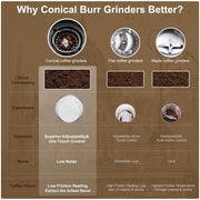 BioloMix Automatic Burr Mill Coffee Grinder with 30 Gears, Visual Bean, 220V -UK