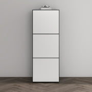 Shoe Storage Cabinet Wooden Shoe Rack Space-saving 3 Units 6 Tiers Many Colors