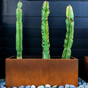 Garden Cube Metal Planter Corten Steel Plant Flowers Pot In & Outdoor Trough Tub