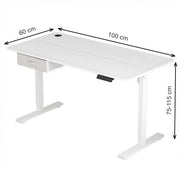 Height Adjustable Electric Standing Desk with Desk Drawer