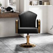 Salon Barber Chair Height Adjustable 360° Swivel Hairdressing Chairs Hair Salon