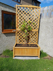 Outdoor Tall Wooden Garden Planter with Trellis Climbing Frame Raised Bed Decor