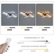 Pendant Lamp Ceiling Lights Room Chandelier Living Light Black Frame with Remote