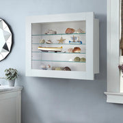Insert/ Wall Mounted Display Shelf Storage Cabinet with Adjustable Glass Shelves