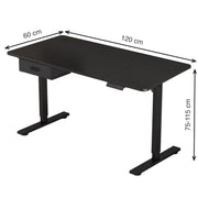 Height Adjustable Electric Standing Desk with Desk Drawer
