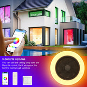Ceiling Fan with Lighting RGB LED Lights Adjustable Wind Speed Remote Control UK