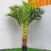 2ft-6FT Large Artificial Palm Tree Indoor Outdoor Potted Plant Home Office Decor