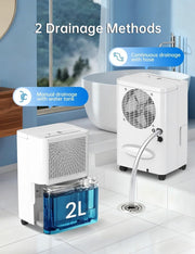 PHILODECO 10L/Day Dehumidifier for Bedroom with Automatic Humidity Sensor