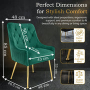 Dining Chairs Set of 2 Upholstered Tufted Velvet Kitchen Chairs Gold Legs Modern
