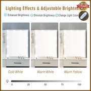Dressing Table with Mirror, 10 LED Lights, Drawers, Stool Set Makeup Desk Vanity