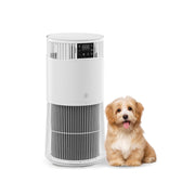 Air Purifier WiFi H13 HEPA Filter Carbon Negative Ions Air Qualit Monitor Aroma