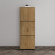 Shoe Storage Cabinet Wooden Shoe Rack Space-saving 3 Units 6 Tiers Many Colors