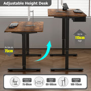Height Adjustable Electric Standing Desk with Desk Drawer
