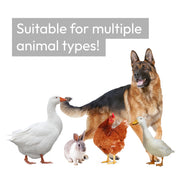 6x3m WALK IN CHICKEN RUN COOP LARGE OUTDOOR PEN METAL DUCK HEN POULTRY CAGE SHED
