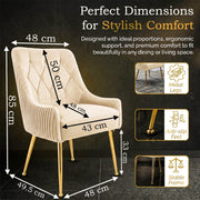 Dining Chairs Set of 2 Upholstered Tufted Velvet Kitchen Chairs Gold Legs Modern