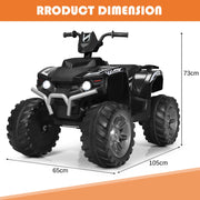 12V Electric Kids Ride On ATV Quad Bike Car Battery Powered Toddler Kids Toy