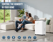 Dehumidifier 12L for Home with Automatic Humidity Sensor & Continuous Drainage