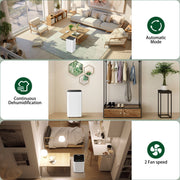 14L/Day Large Dehumidifier Portable Quiet Home Air Dryer for Mould Moisture Damp