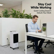 4L Portable Air Cooler Humidifier 65W with 3 Fan Speed, 3 Modes, 2 Ice Pack