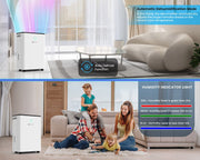 Dehumidifier 12L for Home with Automatic Humidity Sensor & Continuous Drainage