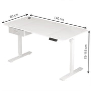 Height Adjustable Electric Standing Desk with Desk Drawer