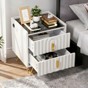 Modern LED Bedside Table with 2 Drawers Bedside Cabinet with Wireless Ocgvrfbblo