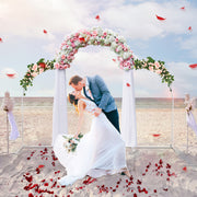 Large Arch Door Wedding Metal Frame Backdrop Stand Party Flower Decor Rack 220cm
