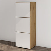Shoe Storage Cabinet Wooden Shoe Rack Space-saving 3 Units 6 Tiers Many Colors