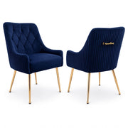 Dining Chairs Set of 2 Upholstered Tufted Velvet Kitchen Chairs Gold Legs Modern