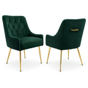 Dining Chairs Set of 2 Upholstered Tufted Velvet Kitchen Chairs Gold Legs Modern